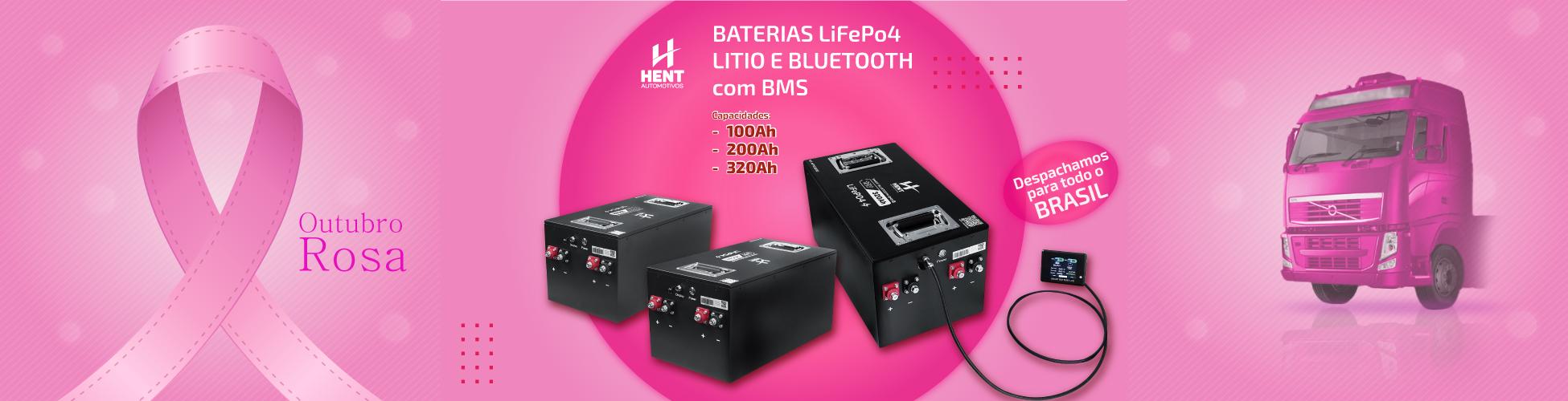 BATERIA LIFEPO4